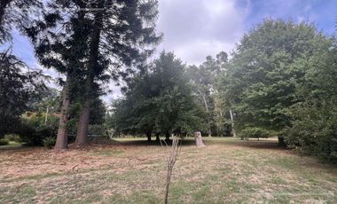 Quinta única en venta en Abasto de 9000 mts con arboleda añeja y amplio terreno. Acepta Financiación