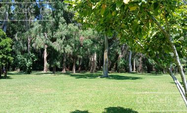 Quinta única en venta en Abasto de 9000 mts con arboleda añeja y amplio terreno. Acepta Financiación