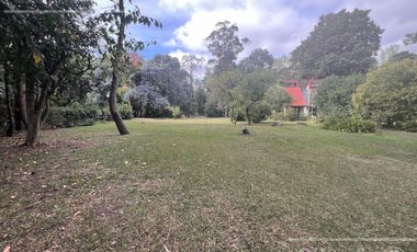 Quinta única en venta en Abasto de 9000 mts con arboleda añeja y amplio terreno. Acepta Financiación