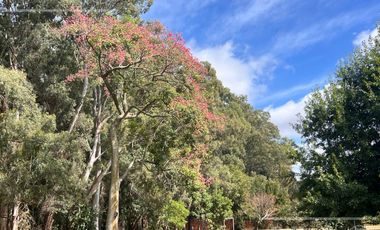 Quinta única en venta en Abasto de 9000 mts con arboleda añeja y amplio terreno. Acepta Financiación