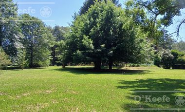 Quinta única en venta en Abasto de 9000 mts con arboleda añeja y amplio terreno. Acepta Financiación