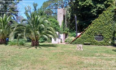 Quinta única en venta en Abasto de 9000 mts con arboleda añeja y amplio terreno. Acepta Financiación