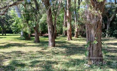 Quinta única en venta en Abasto de 9000 mts con arboleda añeja y amplio terreno. Acepta Financiación