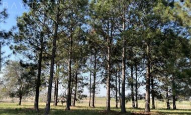 Venta - Lote Barrio Pilará. Tilbury - Pilar