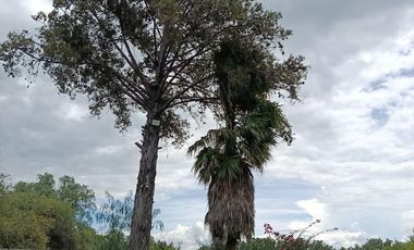 Casa de campo