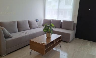 CasaAmplia casa en Jardines de Mayakoba en renta, amueblada y equipada con servicios incluidos