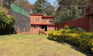 Local en San Miguel Ameyalco