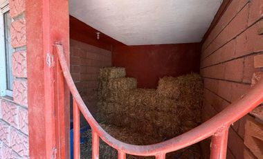 Local en San Miguel Ameyalco