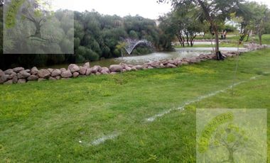 CASA SUSANA EN CONDOMINIO EN RENTA AMUEBLADA REAL DEL BOSQUE CORREGIDORA
