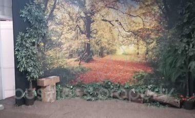 Local en  Tlalnepantla de Baz centro