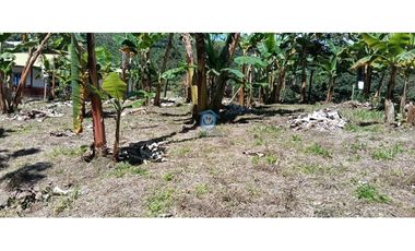 Lote en venta en La María-Santa Rosa de Cabal