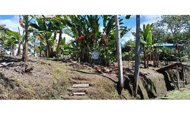 Lote en venta en La María-Santa Rosa de Cabal