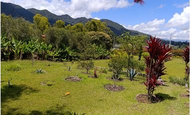Venta de finca en El Carmen de Viboral - la joya natural del Oriente