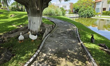 Casa - Fraccionamiento Kloster Sumiya