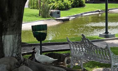 Casa - Fraccionamiento Kloster Sumiya