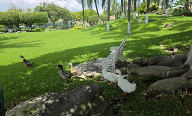 Casa - Fraccionamiento Kloster Sumiya