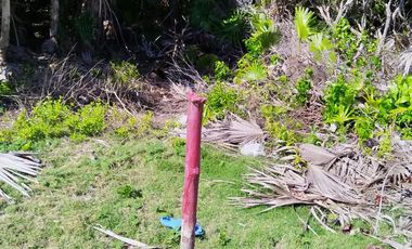 TERRENO CON FRENTE DE PLAYA EN MAHAHUAL