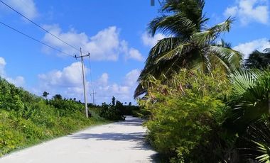 TERRENO CON FRENTE DE PLAYA EN MAHAHUAL