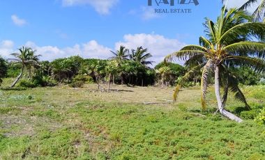 TERRENO CON FRENTE DE PLAYA EN MAHAHUAL