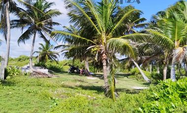 TERRENO CON FRENTE DE PLAYA EN MAHAHUAL