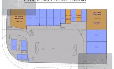 VENTA DE LOCALES EN PLAZA ALBERIA