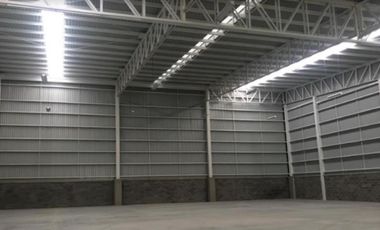 Bodega Industrial - Silao