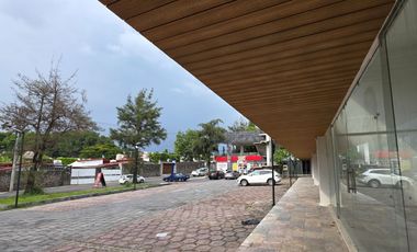 Local - Delicias