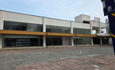 Local - Delicias