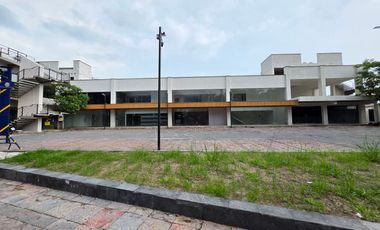 Local - Delicias