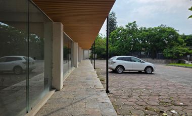 Local - Delicias
