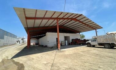 Lote / Terreno en Renta en Los Sabinos