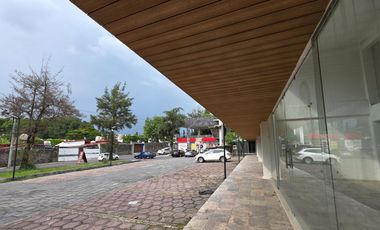 Local - Delicias