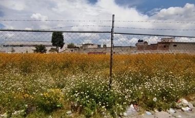 TERRENO COMERCIAL EN RENTA, BO. COAXUSTENCO, METEPEC