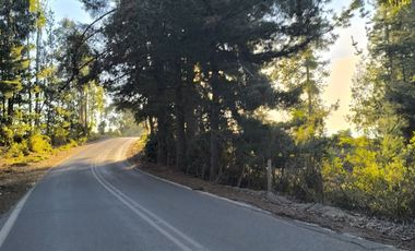 Remate  Parcelas En Pichilemu,  Bucalemu , Paredones.