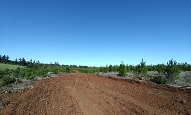 Remate  Parcelas En Pichilemu,  Bucalemu , Paredones.