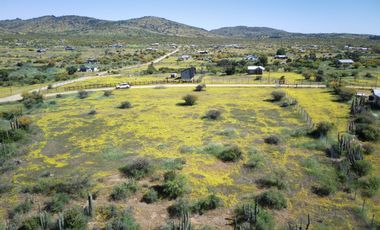 Parcelas En Marchigue $15,990,000 Solo Pago Contado