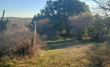 Parcelas En Marchigue $15,990,000 Solo Pago Contado