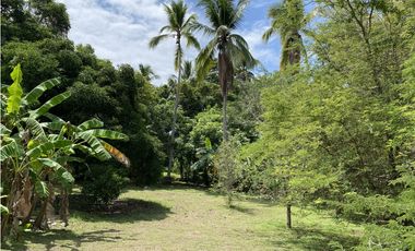 Se Vende Finca con Cabañas en San Carlos