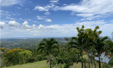 Se Vende Finca con casas de Montaña en Sabanitas, Colón