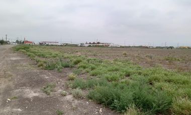TERRENO INDUSTRIAL EN RENTA EN SALINAS VICTORIA N.L.