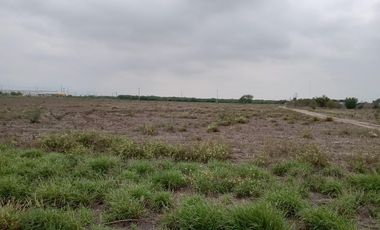 TERRENO INDUSTRIAL EN RENTA EN SALINAS VICTORIA N.L.