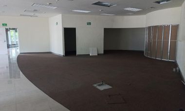 OFICINA - RENTA