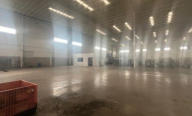 Bodega / Nave Industrial en renta en Silao