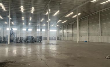 Bodega / Nave Industrial en renta en Silao