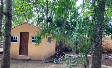 Renta Quinta - Casa Rodeada De Naturaleza Y Desconexion En Poblado San Ignacio Tesip, Yucatan