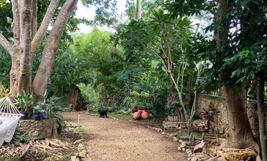 Renta Quinta - Casa Rodeada De Naturaleza Y Desconexion En Poblado San Ignacio Tesip, Yucatan