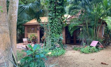 Renta Quinta - Casa Rodeada De Naturaleza Y Desconexion En Poblado San Ignacio Tesip, Yucatan