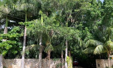 Renta Quinta - Casa Rodeada De Naturaleza Y Desconexion En Poblado San Ignacio Tesip, Yucatan