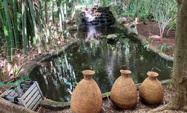 Renta Quinta - Casa Rodeada De Naturaleza Y Desconexion En Poblado San Ignacio Tesip, Yucatan