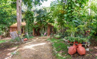Renta Quinta - Casa Rodeada De Naturaleza Y Desconexion En Poblado San Ignacio Tesip, Yucatan